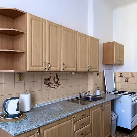 Apartment Carlsbad Near Center Karlovy Vary